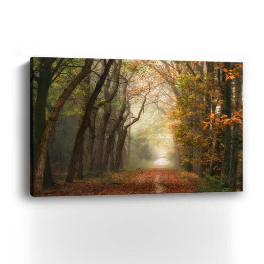 Path of Dreams Canvas Giclee